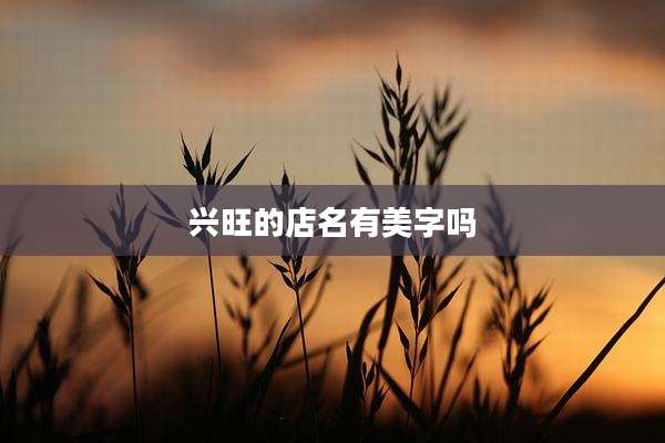 兴旺的店名有美字吗