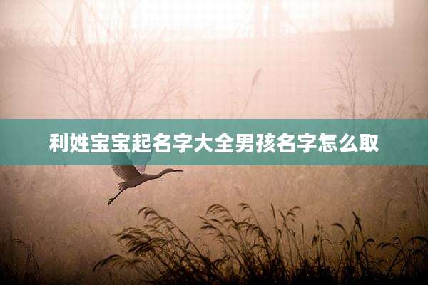 利姓宝宝起名字大全男孩名字怎么取