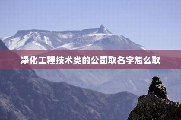 净化工程技术类的公司取名字怎么取