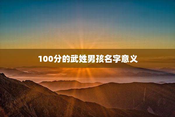 100分的武姓男孩名字意义