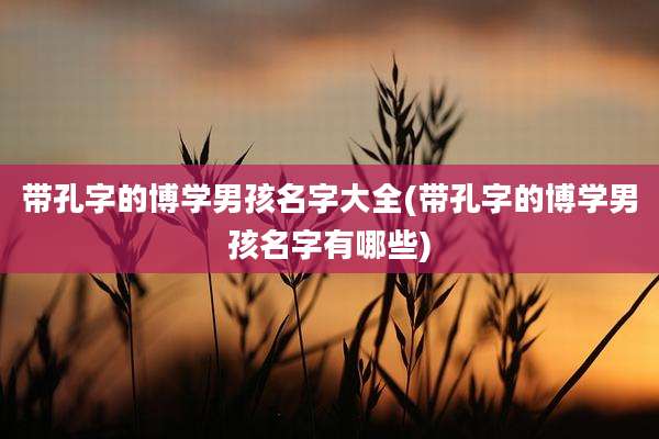 带孔字的博学男孩名字大全(带孔字的博学男孩名字有哪些)