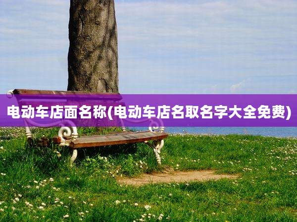 电动车店面名称(电动车店名取名字大全免费)