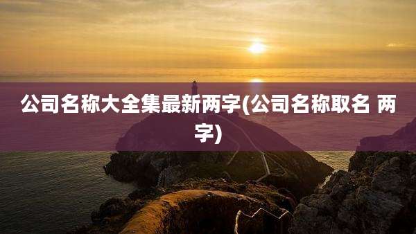 公司名称大全集最新两字(公司名称取名 两字)