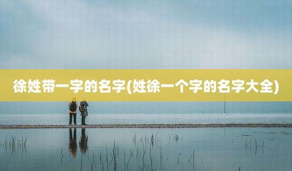徐姓带一字的名字(姓徐一个字的名字大全)