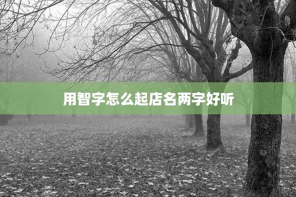 用智字怎么起店名两字好听