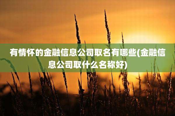 有情怀的金融信息公司取名有哪些(金融信息公司取什么名称好)