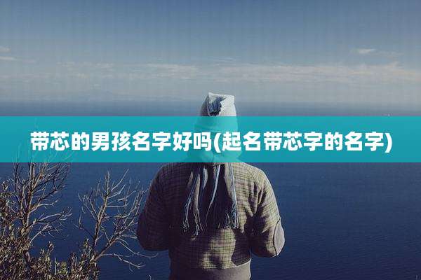 带芯的男孩名字好吗(起名带芯字的名字)