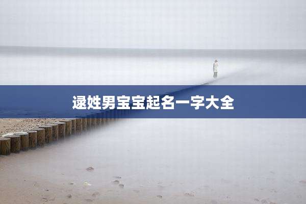 逯姓男宝宝起名一字大全