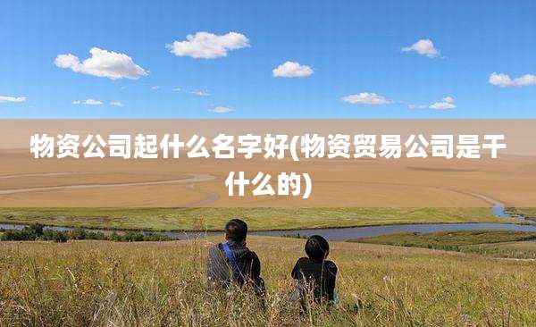 物资公司起什么名字好(物资贸易公司是干什么的)