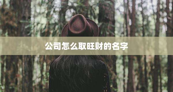 公司怎么取旺财的名字