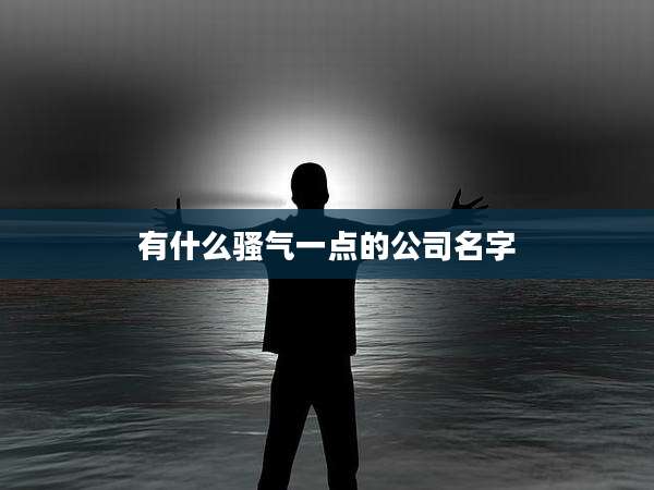 有什么骚气一点的公司名字