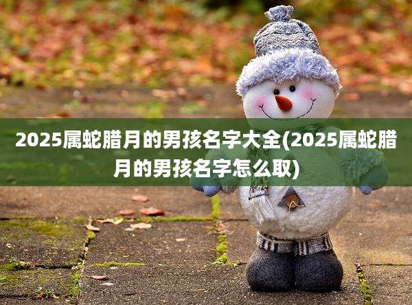2025属蛇腊月的男孩名字大全(2025属蛇腊月的男孩名字怎么取)