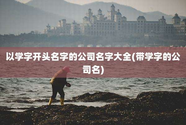 以学字开头名字的公司名字大全(带学字的公司名)