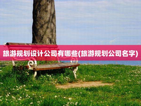 旅游规划设计公司有哪些(旅游规划公司名字)