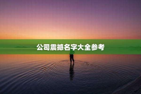 公司震撼名字大全参考