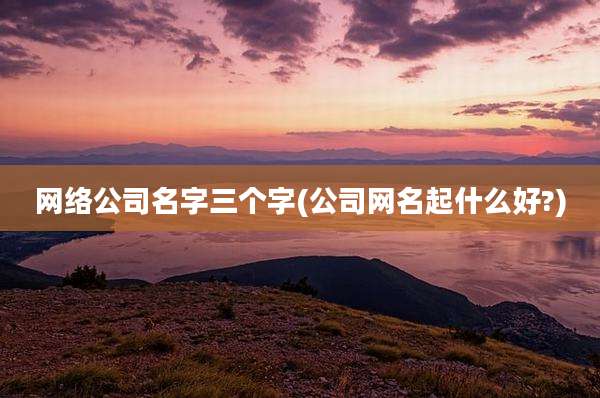 网络公司名字三个字(公司网名起什么好?)