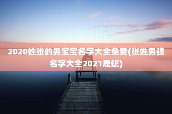 2020姓张的男宝宝名字大全免费(张姓男孩名字大全2021属蛇)