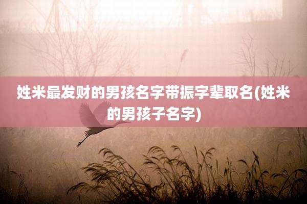 姓米最发财的男孩名字带振字辈取名(姓米的男孩子名字)