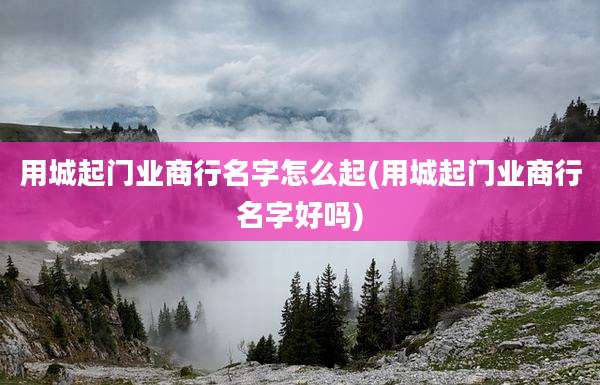 用城起门业商行名字怎么起(用城起门业商行名字好吗)