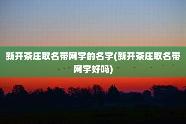 新开茶庄取名带网字的名字(新开茶庄取名带网字好吗)