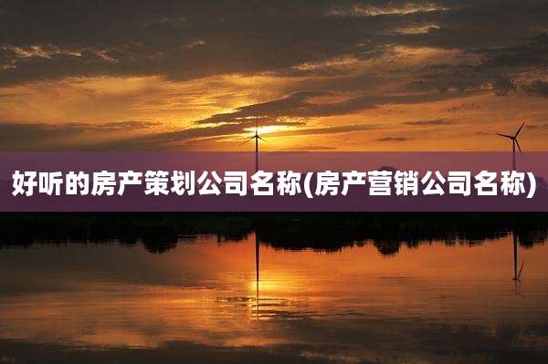 好听的房产策划公司名称(房产营销公司名称)