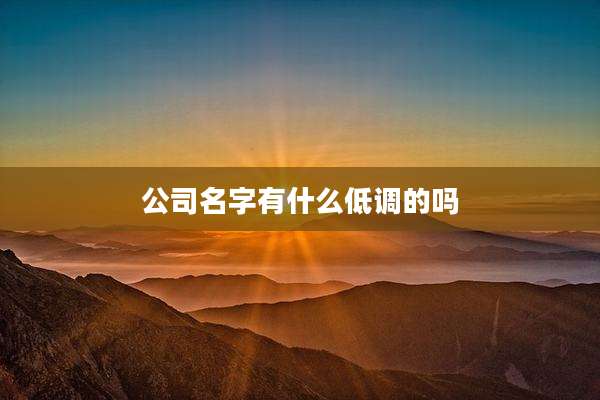 公司名字有什么低调的吗