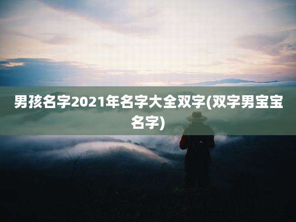 男孩名字2021年名字大全双字(双字男宝宝名字)