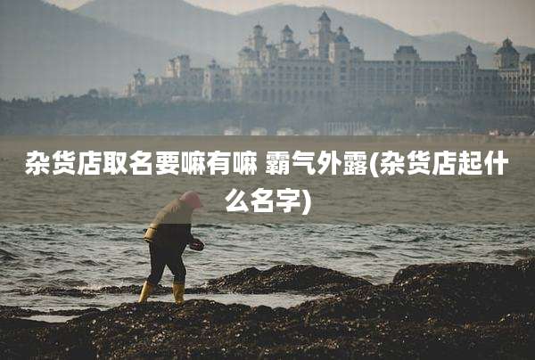 杂货店取名要嘛有嘛 霸气外露(杂货店起什么名字)