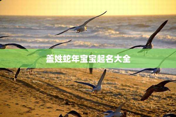 盖姓蛇年宝宝起名大全