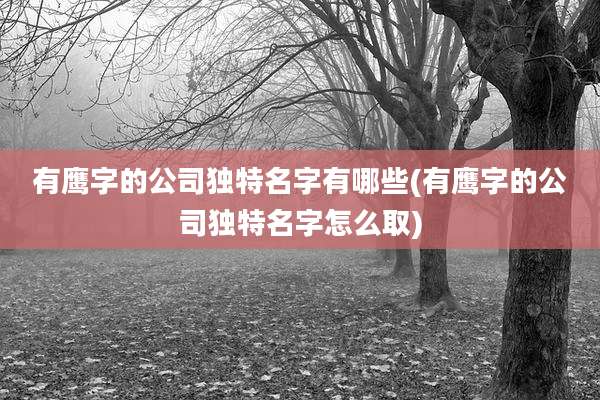 有鹰字的公司独特名字有哪些(有鹰字的公司独特名字怎么取)