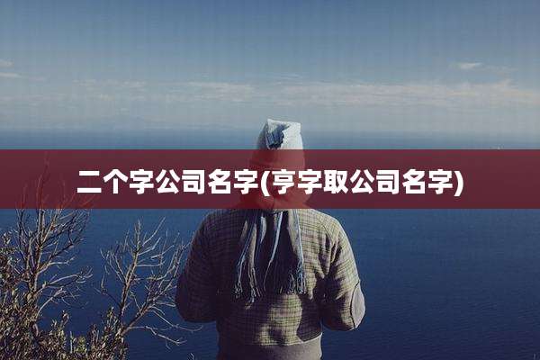 二个字公司名字(亨字取公司名字)