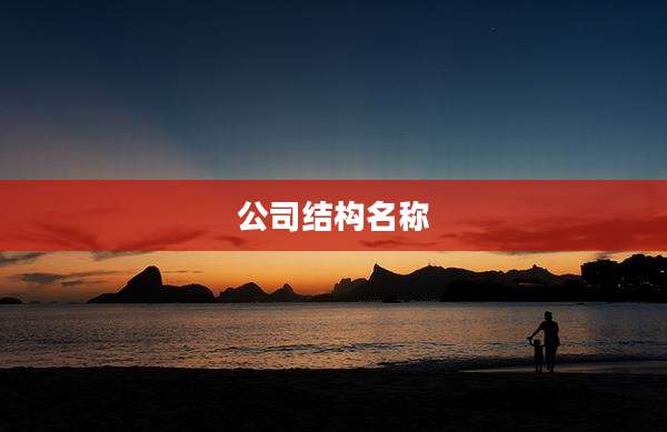 公司结构名称
