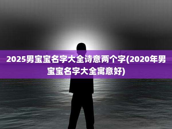 2025男宝宝名字大全诗意两个字(2020年男宝宝名字大全寓意好)