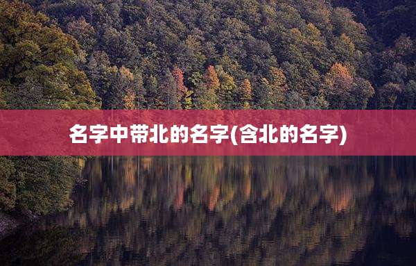 名字中带北的名字(含北的名字)