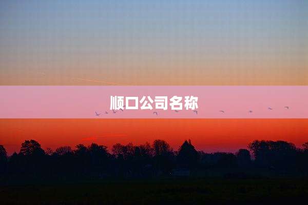 顺口公司名称