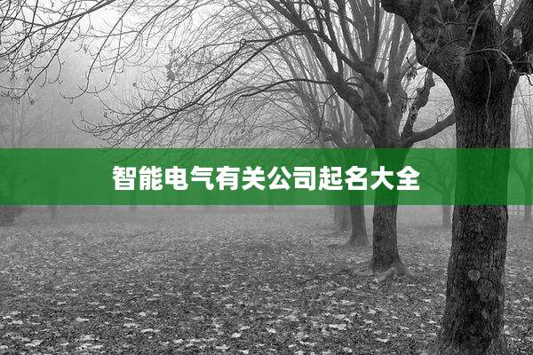 智能电气有关公司起名大全