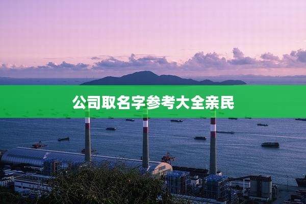 公司取名字参考大全亲民