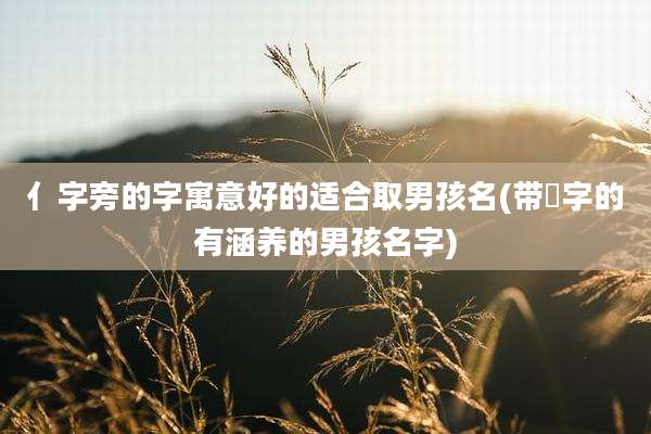 亻字旁的字寓意好的适合取男孩名(带渃字的有涵养的男孩名字)