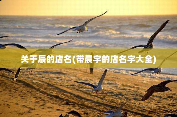 关于辰的店名(带晨字的店名字大全)