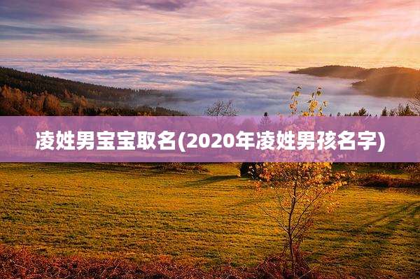 凌姓男宝宝取名(2020年凌姓男孩名字)