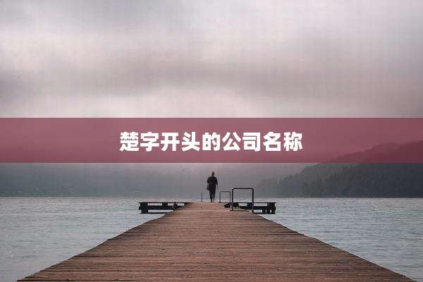 楚字开头的公司名称