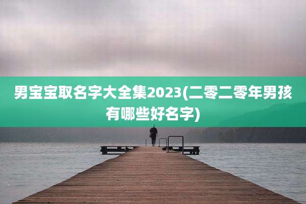 男宝宝取名字大全集2023(二零二零年男孩有哪些好名字)
