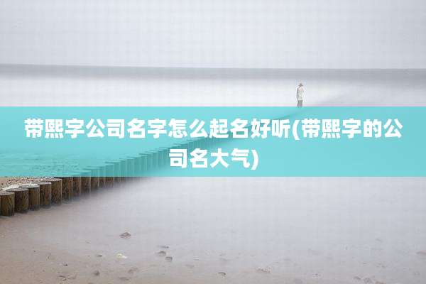 带熙字公司名字怎么起名好听(带熙字的公司名大气)