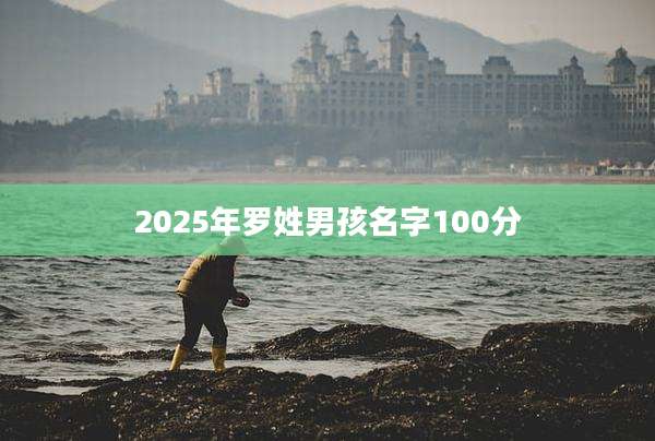 2025年罗姓男孩名字100分