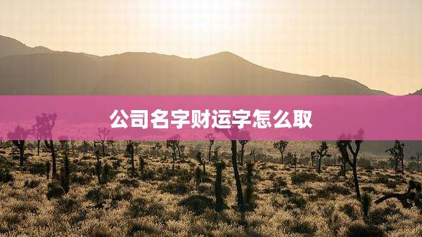 公司名字财运字怎么取