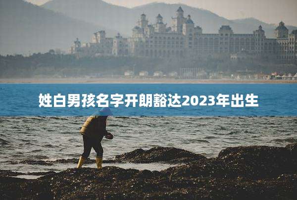 姓白男孩名字开朗豁达2023年出生