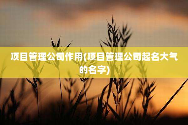 项目管理公司作用(项目管理公司起名大气的名字)