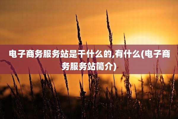 电子商务服务站是干什么的,有什么(电子商务服务站简介)