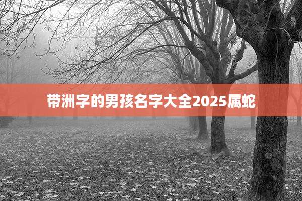 带洲字的男孩名字大全2025属蛇