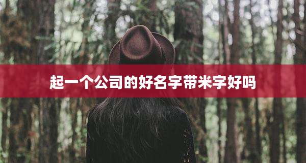 起一个公司的好名字带米字好吗